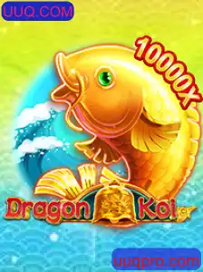 Descubra o Fascinante Universo de DragonKoi