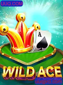 Explorando o Universo de WildAce: Um Mergulho Profundo